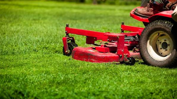 Fresh Cut Lawns