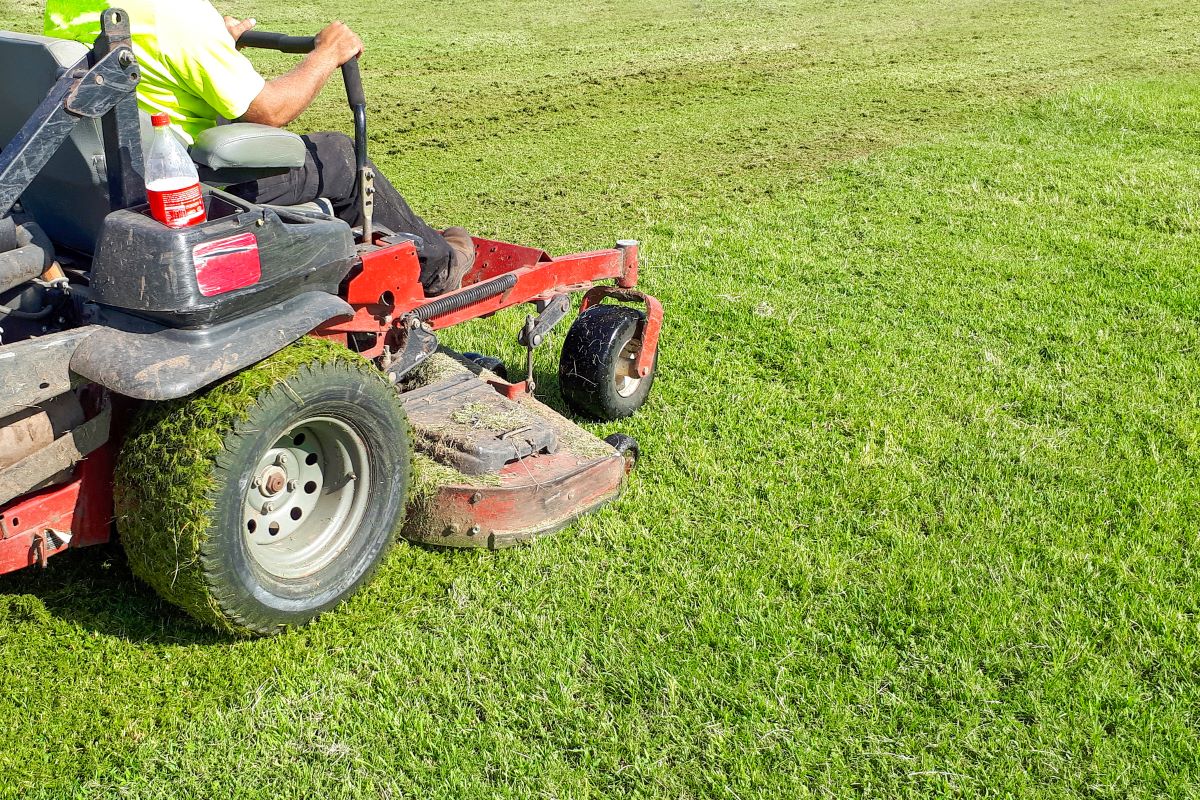 onderhoud tuin